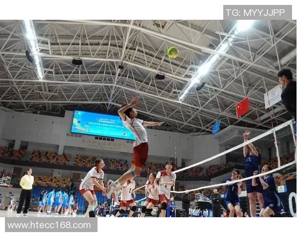 武汉排球队的耐力训练与比赛表现探讨聚焦排球的挑战与机遇