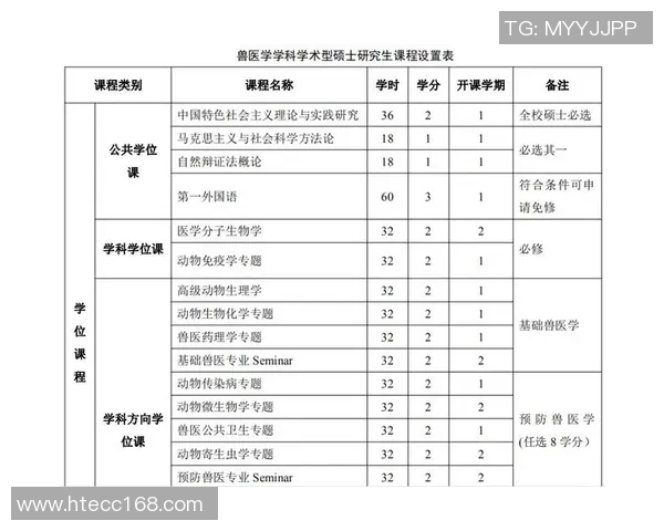 科学羽毛球比赛经验与训练方法的全面探讨与实践指导