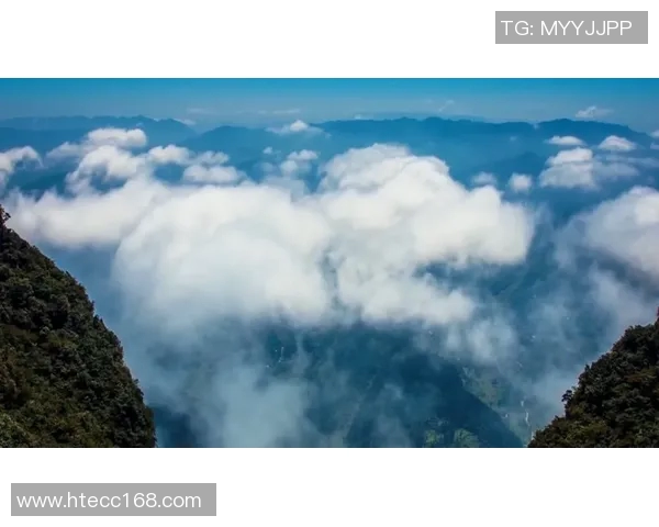 重庆排球队包夹战术分析与成效评估探讨